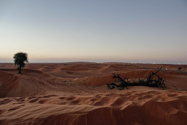 Tramonto nel deserto Tramonto nel deserto a Dubai UAE