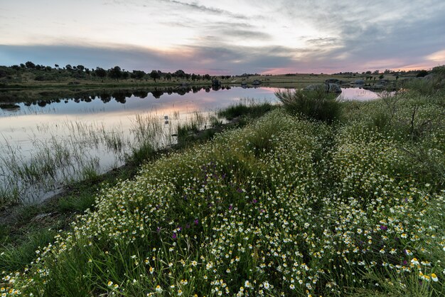 Tramonto nell'area naturale di Los Barruecos. Malpartida de Caceres. Spagna