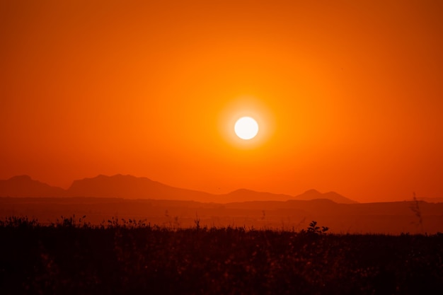 Tramonto nella zona rurale sul campo Servizio fotografico a tarda sera con profondità di campo ridotta