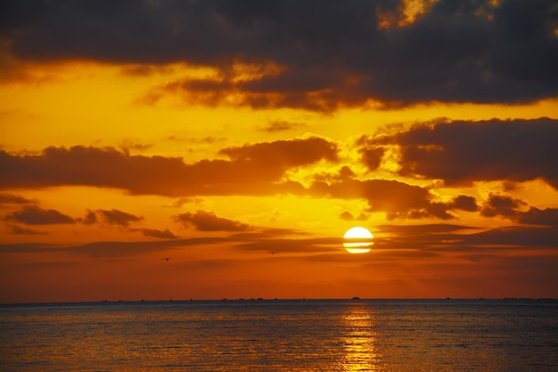 Tramonto panoramico con gabbiani sul mare Girato ad Alghero in Italia