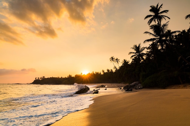 Tramonto romantico su una spiaggia tropicale con palme Vacanze al mare