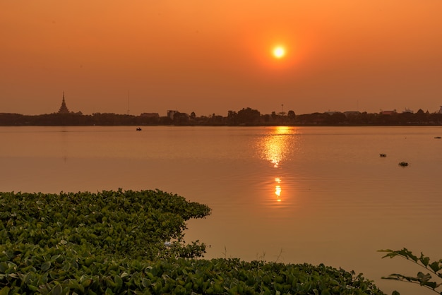 Tramonto silhoutte sul giacinto d&#39;acqua nel lago