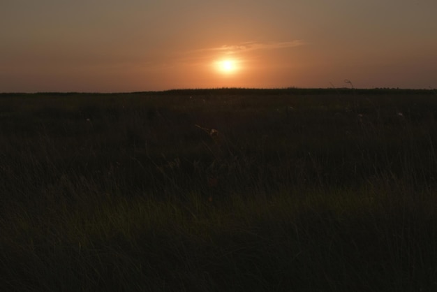 Tramonto sotto il campo alla fine della giornata