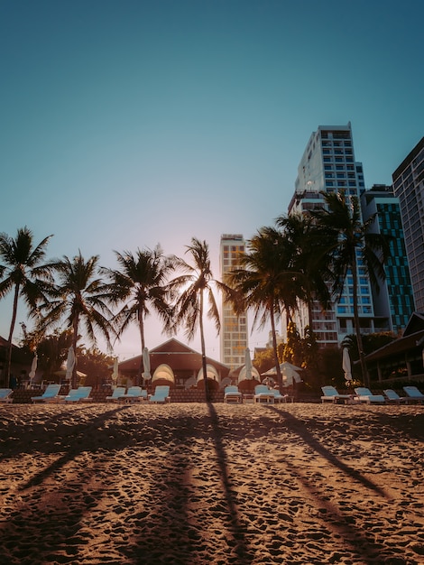 Tramonto su Miami Beach con le palme