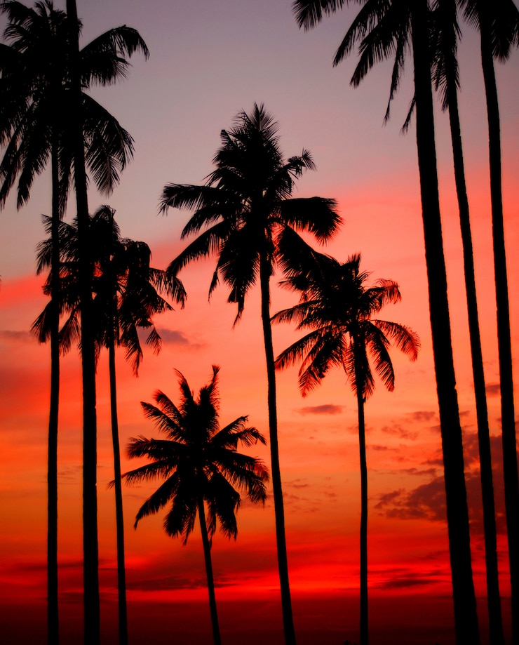 Foto tramonto su un&#39;isola tropicale