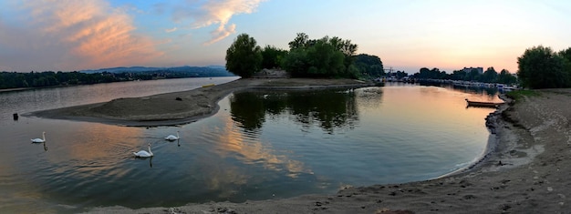 Tramonto sul fiume con cigni che nuotano