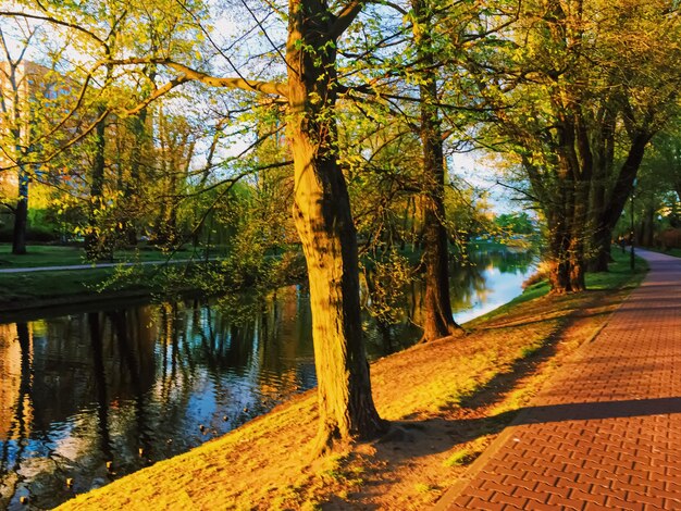 Tramonto sul fiume in primavera