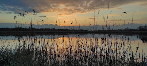 Tramonto sul lago con canne