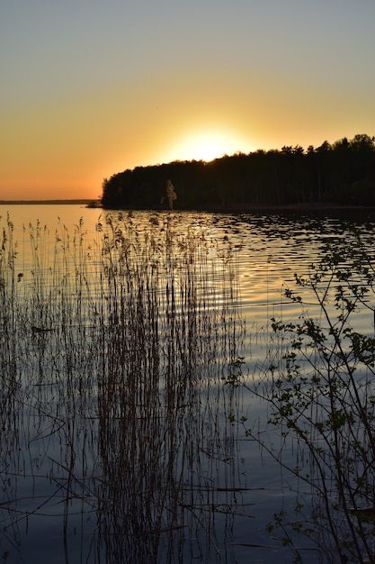 Tramonto sul lago, sagome di alberi sullo sfondo del tramonto sul lago