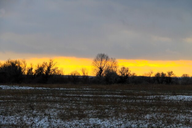 Tramonto sul prato d'inverno