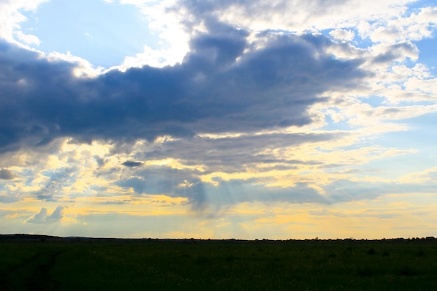 Tramonto sul prato