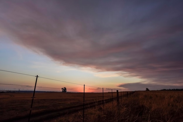 Tramonto sulla campagna argentina Provincia di La Pampa Patagonia Argentina