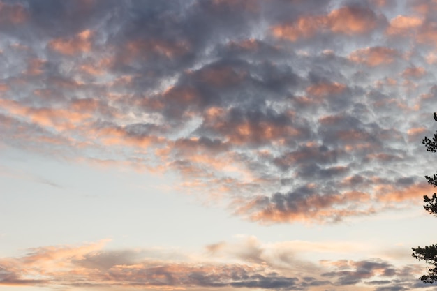 Tramonto sulla costa del Mar Bianco vicino a Capo Korabelny Cielo e nuvole