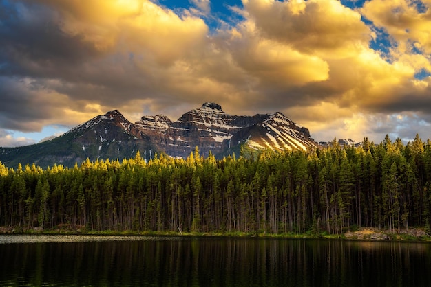 Tramonto sulla foresta profonda lungo il lago Herbert nel Parco Nazionale di Banff in Canada