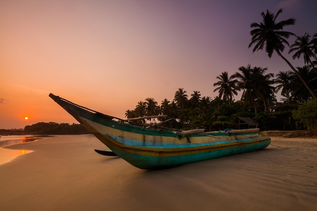 Tramonto sulla spiaggia con palme da cocco Sri Lanka