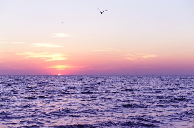 Tramonto sulla spiaggia estiva