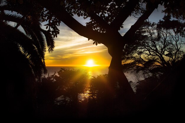 Tramonto sulla spiaggia