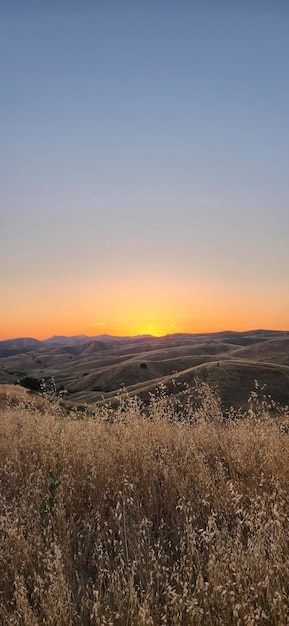 Tramonto sulle colline