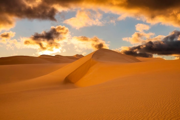 Tramonto sulle dune di sabbia nel deserto Paesaggio arido del deserto del Sahara