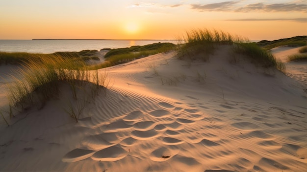 Tramonto sulle dune in spiaggia