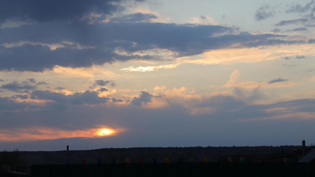 Tramonto tra gli alberi, foresta