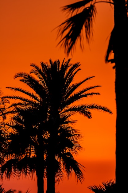 Tramonto vicino alla spiaggia di San Fernando, Cadice, Spagna