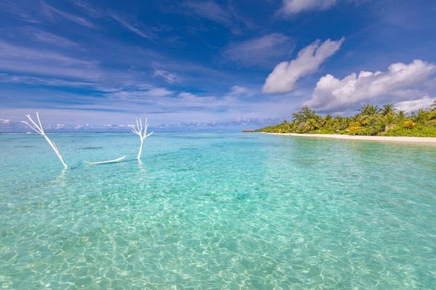 Tranquilla amaca sull'acqua nella laguna tropicale. Paesaggio esotico, soleggiato sfondo di viaggio estivo