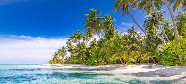 Tranquilla spiaggia mare sabbia cielo palme. Paesaggio soleggiato spiaggia tropicale esotica per sfondo o sfondo