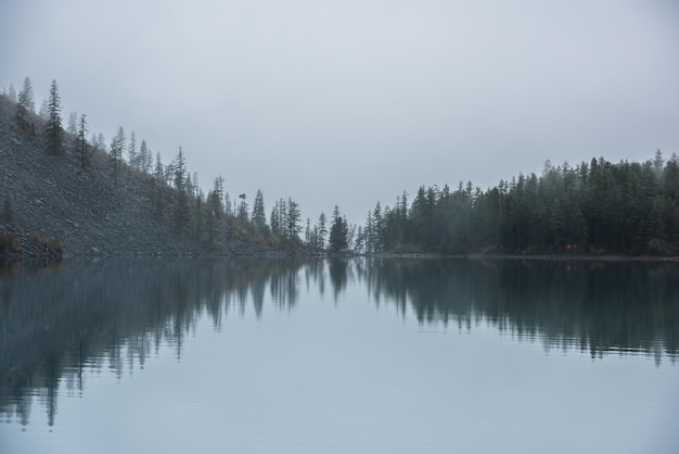 Tranquillo e meditativo scenario nebbioso del lago glaciale con cime appuntite di abeti riflessi al mattino presto EQ grafico di sagome di abete rosso sul calmo orizzonte del lago alpino nella nebbia misteriosa Lago di montagna spettrale