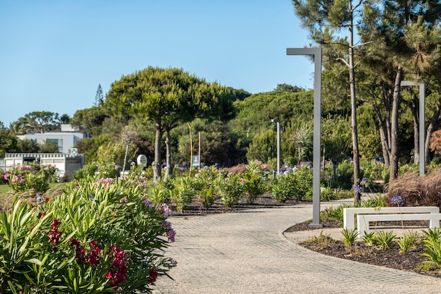 Tranquillo e rilassante sentiero in pietra nella regione di Quinta do Lago