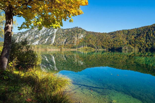 Tranquillo lago di montagna delle Alpi autunnali con acqua limpida e trasparente e riflessi Lago Almsee Alta Austria