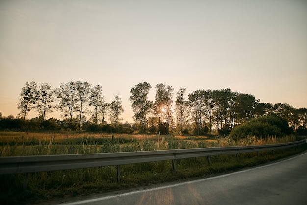 Tranquillo paesaggio del percorso in erba che porta alla lontana foresta Verde stagione in campagna nel nord della Polonia