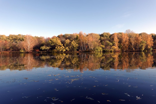 Tranquillo paesaggio rurale con fiume calmo e tranquillo e variopinto bosco autunnale dopo di esso sotto clo blu