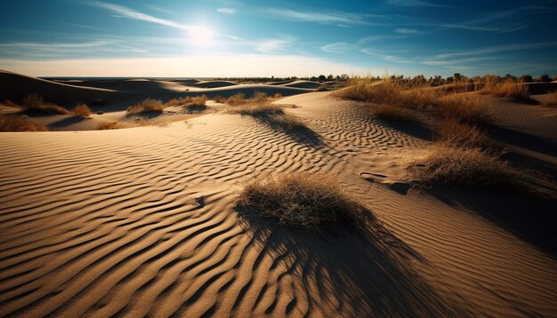 Tranquillo tramonto su dune di sabbia increspate in remote terre selvagge africane generate dall'intelligenza artificiale