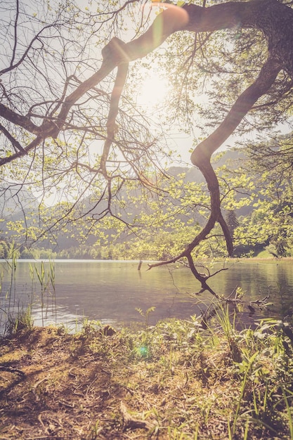 Tranquillo tramonto sul lago Lago Thumsee Germania