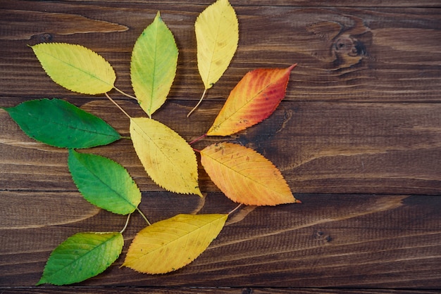 Transizione delle foglie di autunno da verde a rosso su fondo di legno