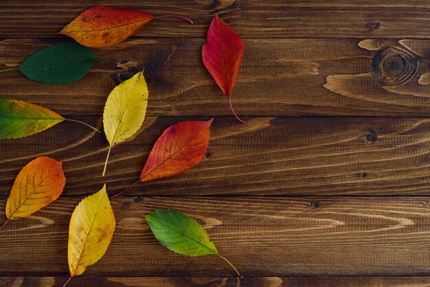 Transizione delle foglie di autunno da verde a rosso su fondo di legno