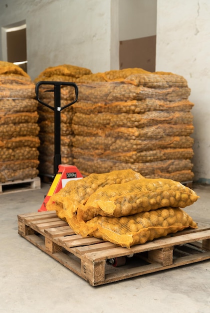 transpallet carico di patate in magazzino. l'operatore del magazzino carica le patate. un grande ware fattoria