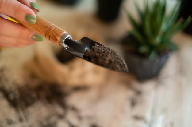 Trasferimento di piante in un altro vaso, primo piano di un giardiniere che tiene in mano attrezzi da giardino