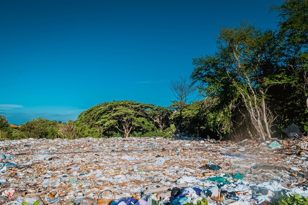 Trash Keeper Land Garbage Discarica ambientale. Scarico di rifiuti nell'area forestale sporca della terra.