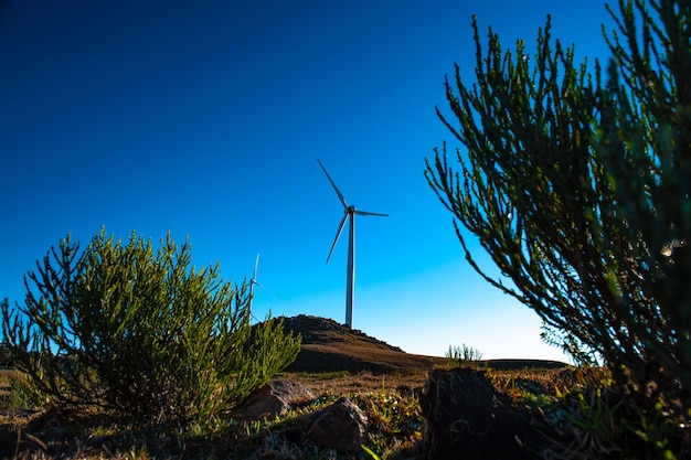 Trasmissione di energia delle turbine eoliche nei campi nello stato di Santa Catarina in Brasile