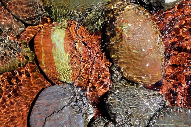 trasparenza delle rocce rosse del fondo dell&#39;acqua del fiume