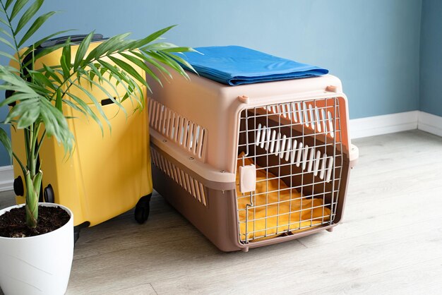 Trasportino per animali domestici in plastica aperto o gabbia per animali domestici e valigia gialla sul pavimento nello spazio della copia domestica