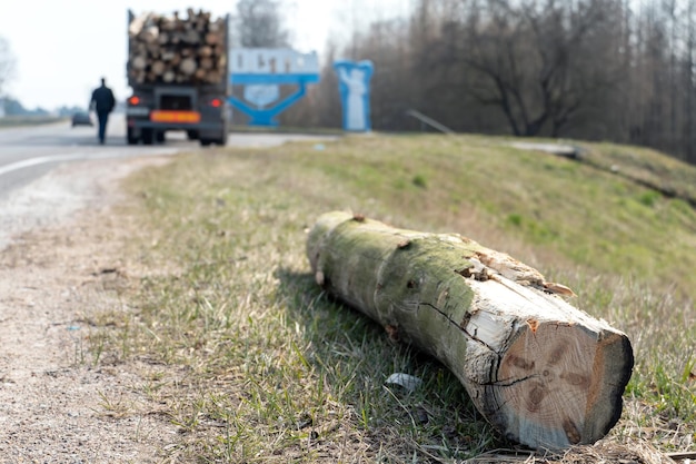 Trasporto di legna su un camion con rimorchio L'autista fissa i tronchi sul rimorchio camion industriale per il trasporto di legname Infortunio durante il trasporto di legname tronchi caduti su strada