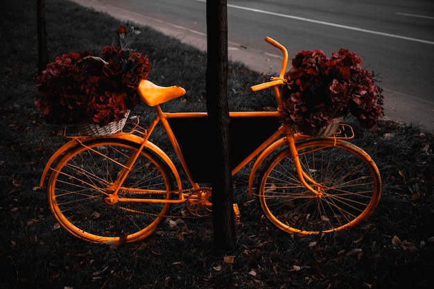 trasporto urbano. Bicicletta per la città. Uno stile di vita sano. Trasporto ecologico