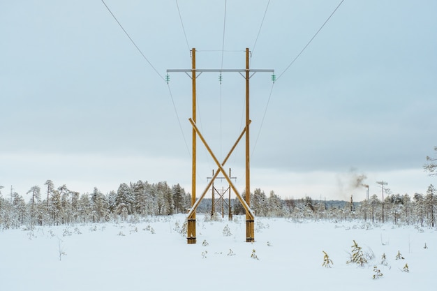 Trasposizione torri di trasmissione di potenza nella foresta del nord nevoso