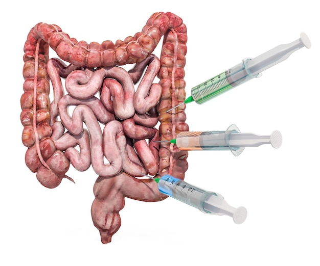 Trattamento e farmaci per il rendering 3D dell'intestino della malattia