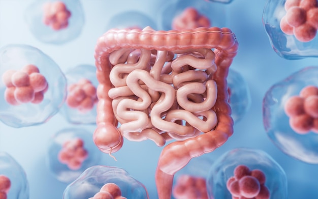 Tratto intestinale con concetto di salute digestiva rendering 3d