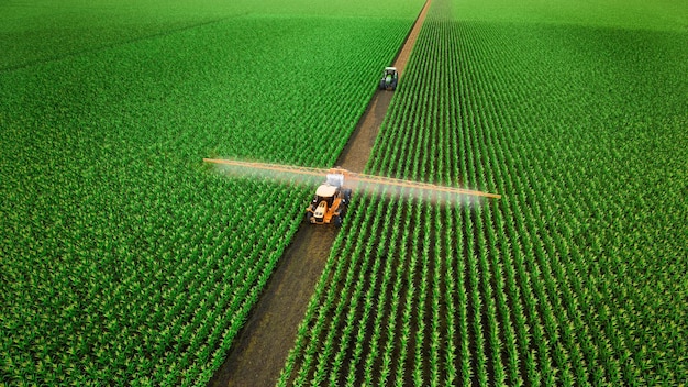 Trattore agricolo che spruzza fertilizzante sui campi di mais Tecnologia smart farm concept 3d rendering