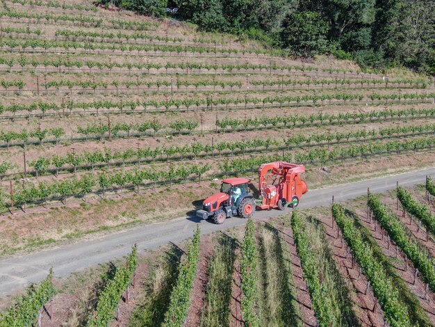 Trattore agricolo che spruzza pesticidi insetticidi erbicidi su campo verde vigneto Napa Valley